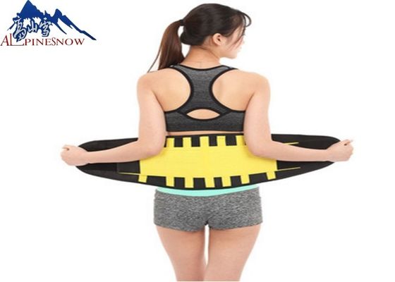 LA CHINE Ceinture colorée réglable respirable de soutien de taille de dos de forme physique du néoprène pour l'exercice et le sport fournisseur